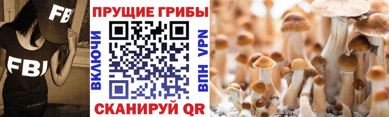 мориарти клад  Карабаново  Галлюциногенные грибы MAGIC MUSHROOMS  гидра  