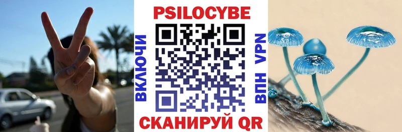 Псилоцибиновые грибы прущие грибы Карабаново